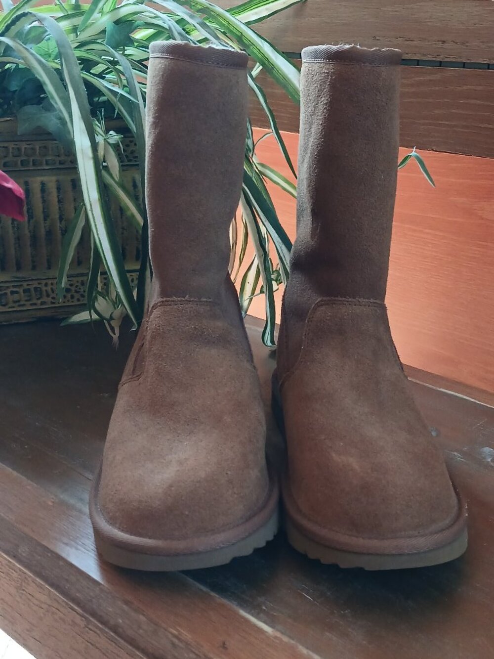 Ugg Ankle Boot
